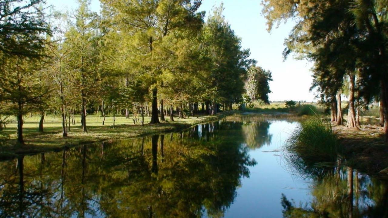 Casa Cerca De La Media Luna Villa Río Verde Eksteriør billede